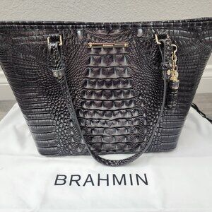 Brahmin Purse (Medium Asher)